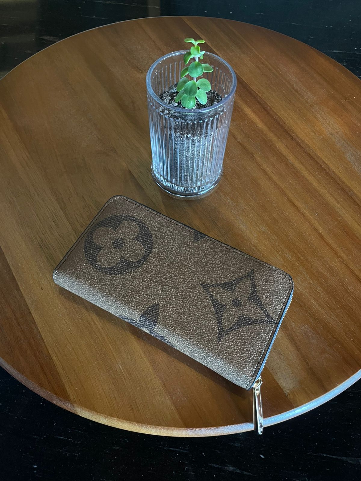 cartera camel